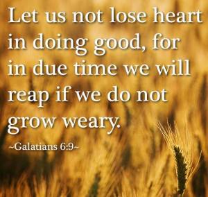 HarvestThanksgivingVere