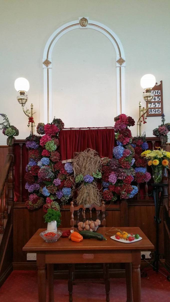 14536751_1757579351182093_1253927603_o