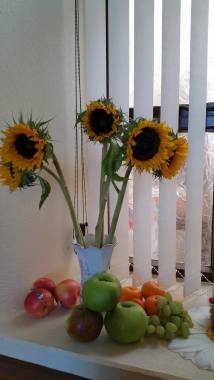 14572543_1757579427848752_819412074_o