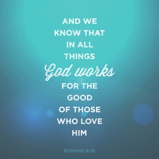 romans8-28